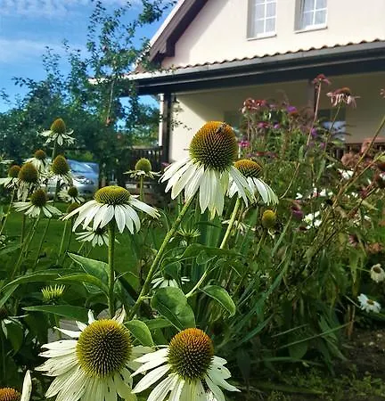 Villa Joana *